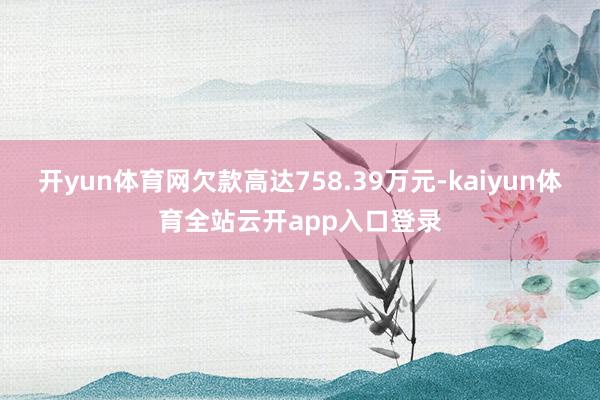 开yun体育网欠款高达758.39万元-kaiyun体育全站云开app入口登录