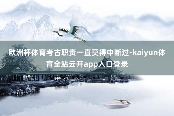 欧洲杯体育考古职责一直莫得中断过-kaiyun体育全站云开app入口登录