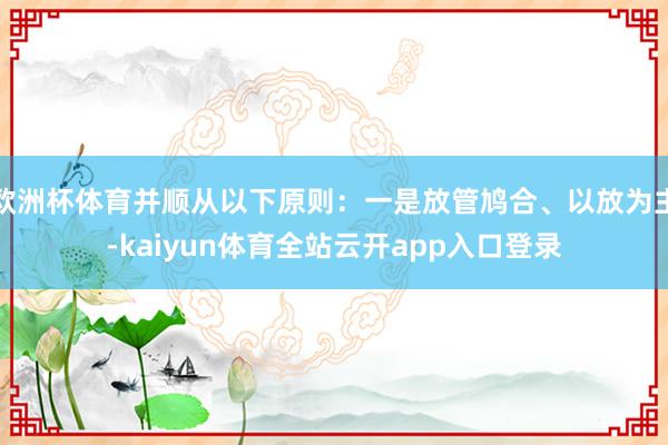 欧洲杯体育并顺从以下原则：一是放管鸠合、以放为主-kaiyun体育全站云开app入口登录